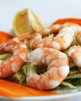 shrimps
